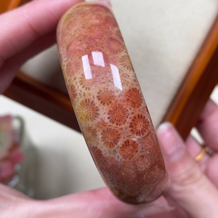 硅化珊瑚（珊瑚玉）手镯未镶嵌52.7