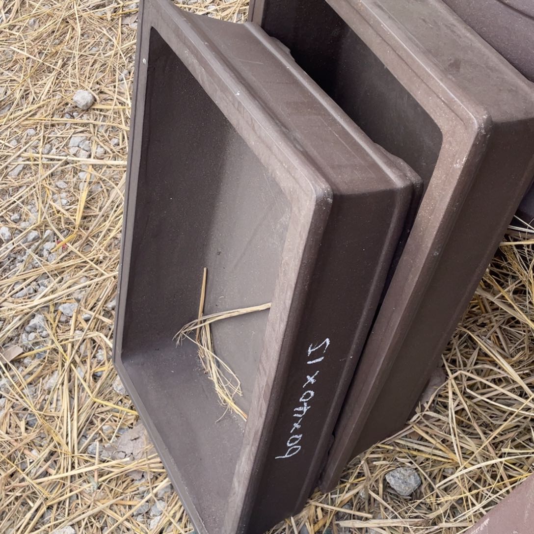 特价处理紫砂一组两只