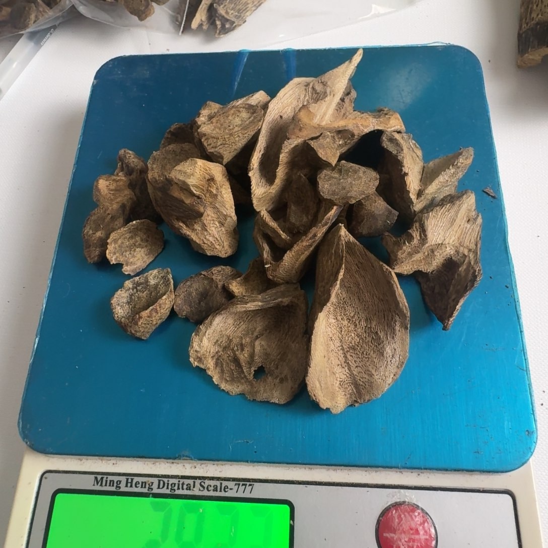 沉香沉香碎屑沉香碎屑奇楠天然壳子