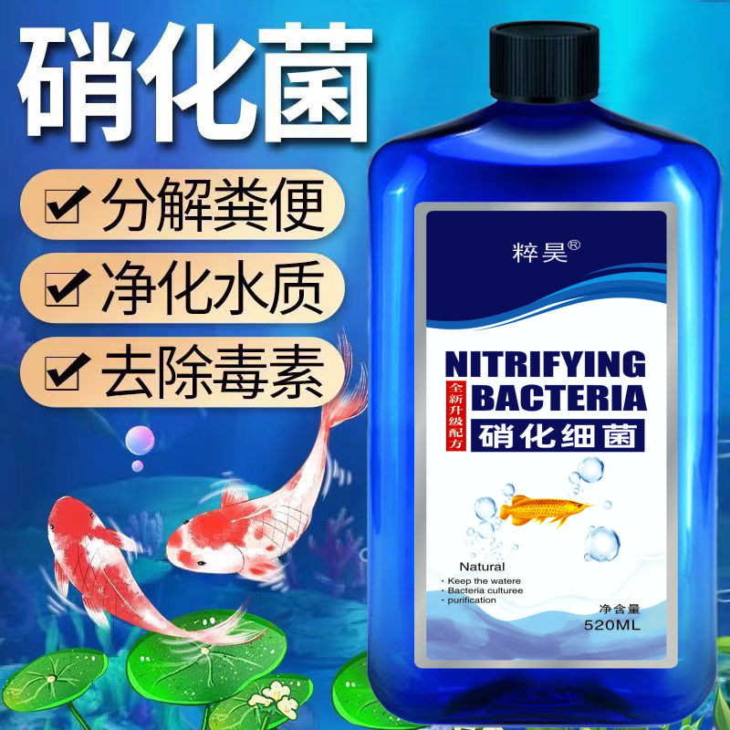 浓缩硝化细菌溶液水族鱼缸鹦鹉龙鱼水质澄清澈消化亚甲净水剂-2