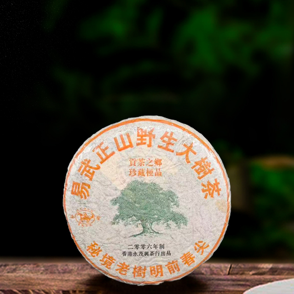 十九年原料秘境老树400g生茶（配1泡同款品鉴装）