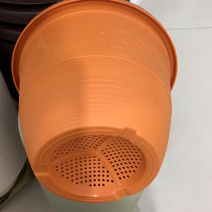 碗形口23高17橙色6个带托