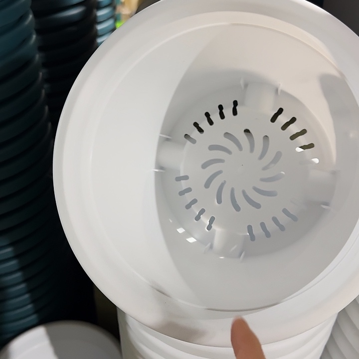 四季3号纯白无托10个特价