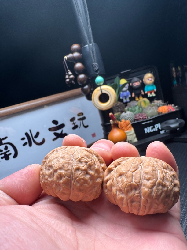 41全品南瓜矮冬瓜