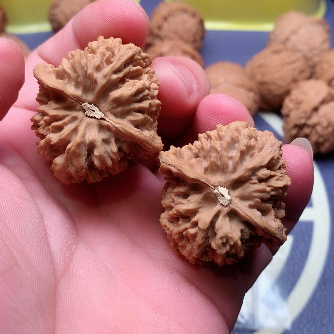 文玩核桃把件人****全满天星