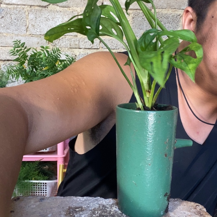 退款拉黑一物一拍68