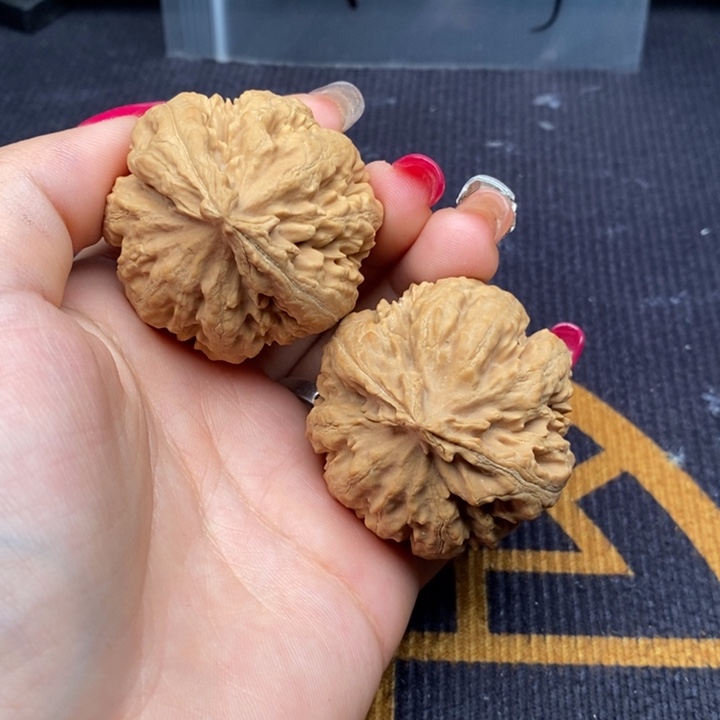 高***称把件文玩核桃霸王龙