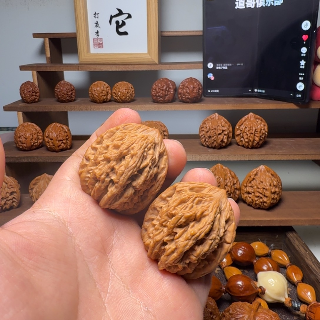 道哥俱乐部t会员7878麦虎39