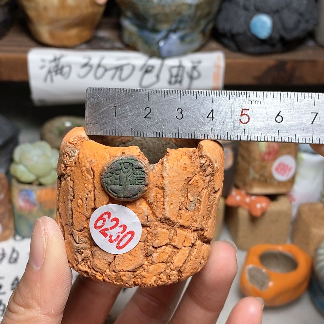 红陶拍5送一个小