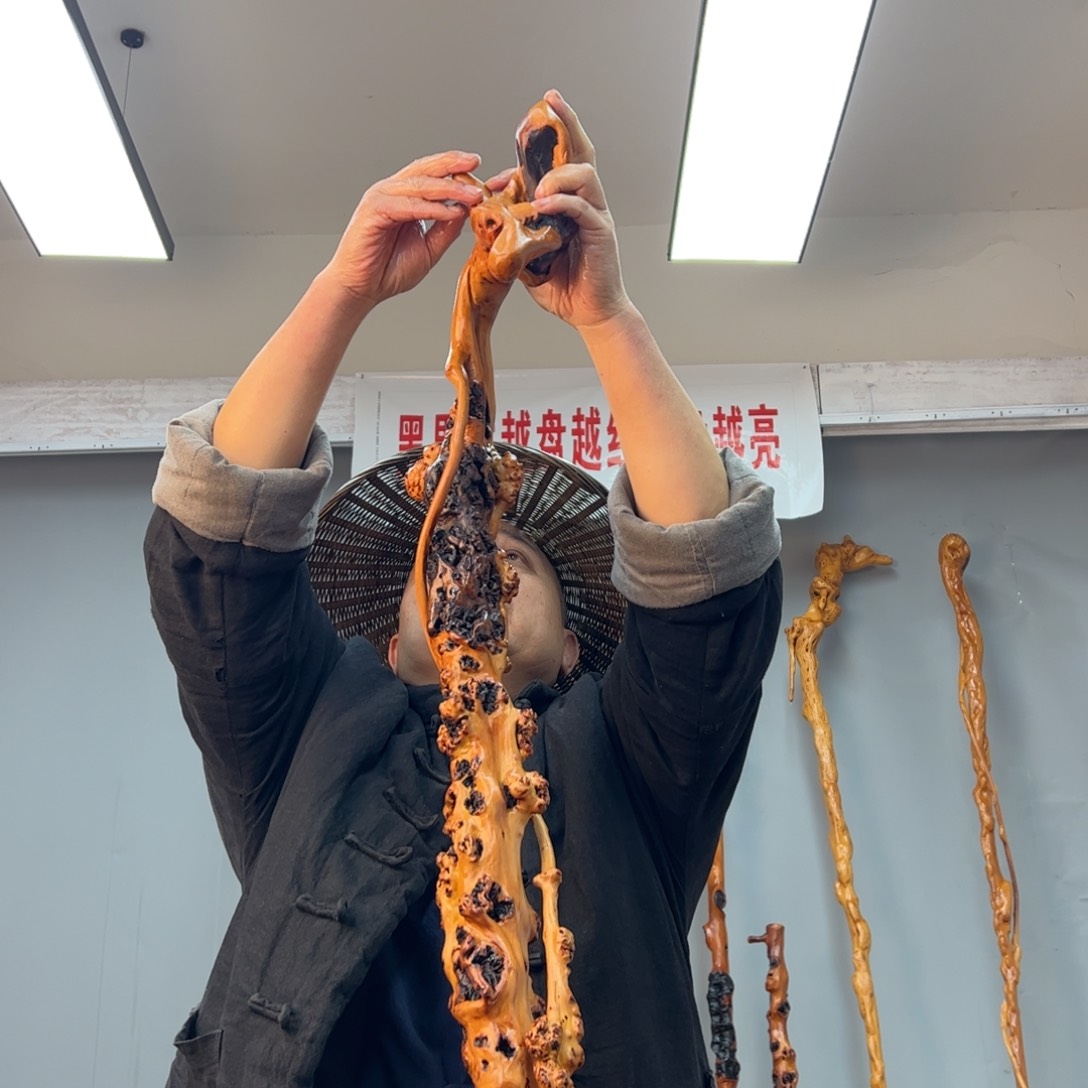 黑果木其他用****0黑果木542