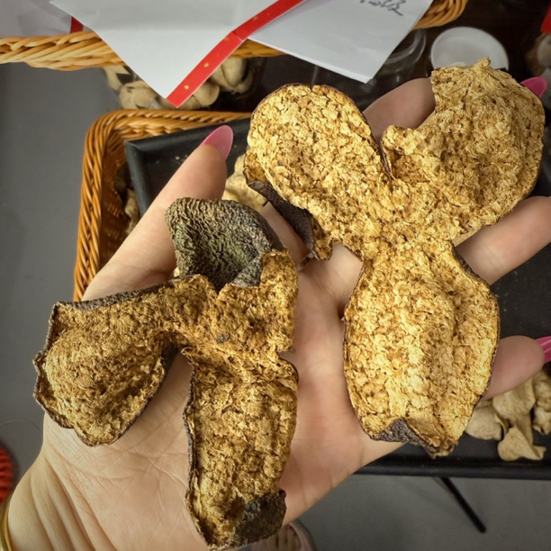 【2015年狗腩皮 甜糯 梅子香】（南坦产区）2015东甲大滘原枝冬后皮