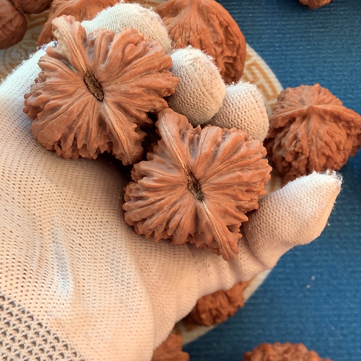 建***鲜吊坠文玩核桃四座楼45尺打底