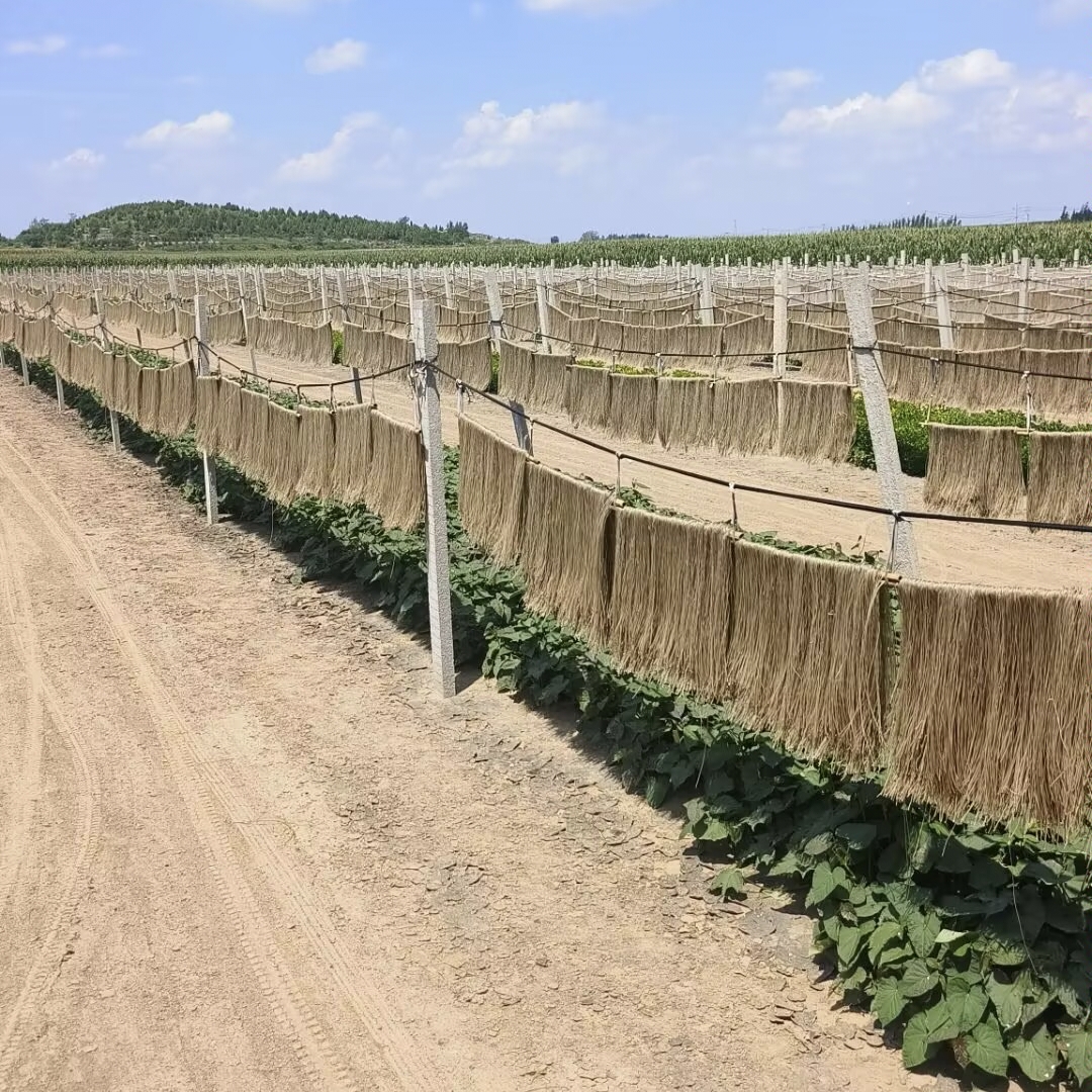 赵家山领红薯粉条传统工艺自然晾晒口感纯正匠心制作家庭版5斤