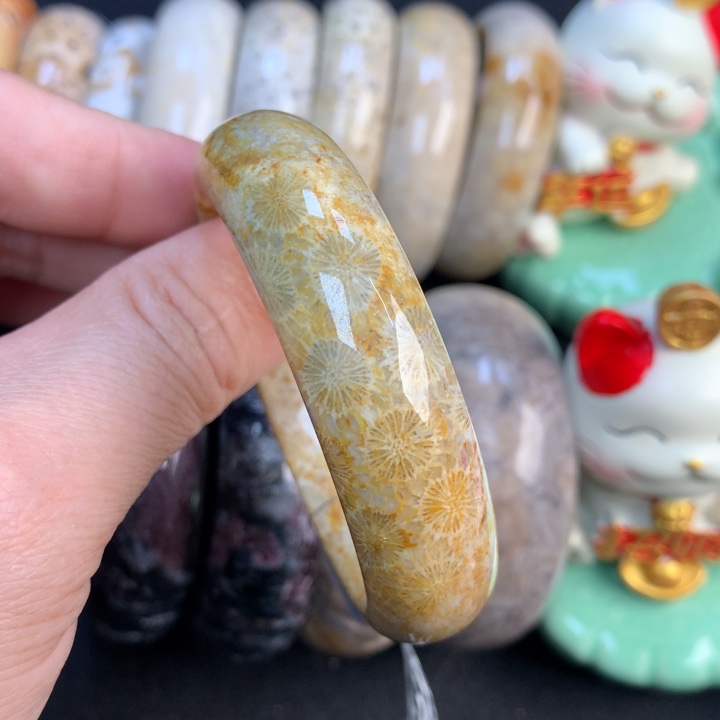 【闪购商品】硅化珊瑚（珊瑚玉）颈饰未镶嵌50