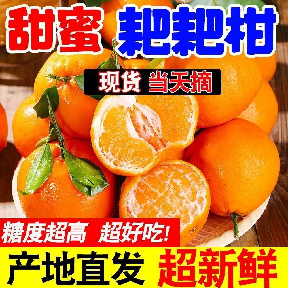 正宗耙耙柑当季新鲜水果橘子应当季孕妇水果产地直发香甜爆汁