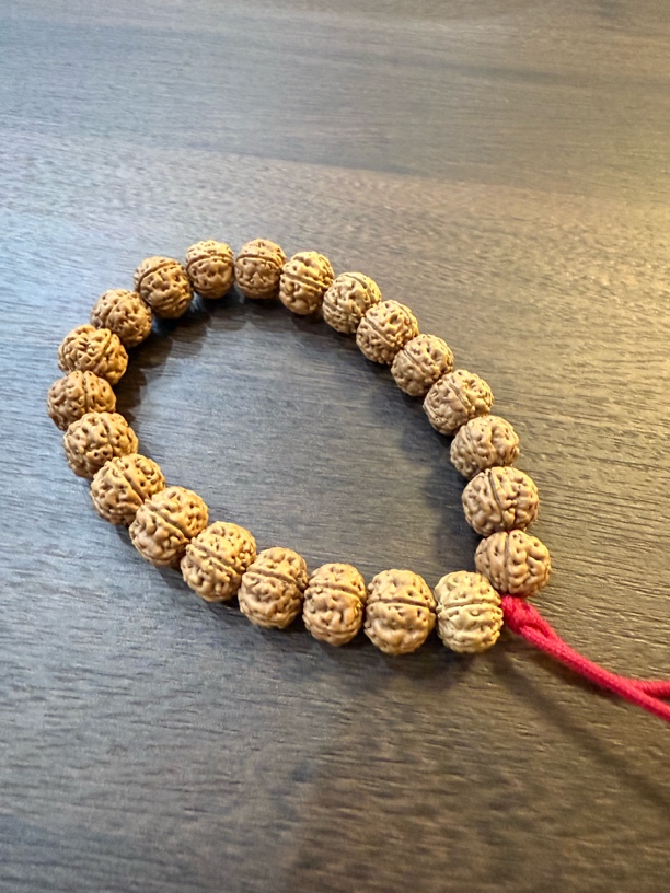 老树王和梅花随机一条