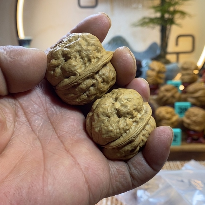 不***才龙脊菩提吊坠金蟾疙瘩包