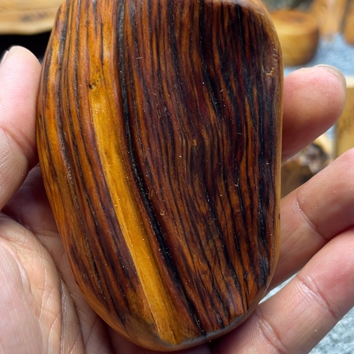 柏木（崖柏）崖柏76