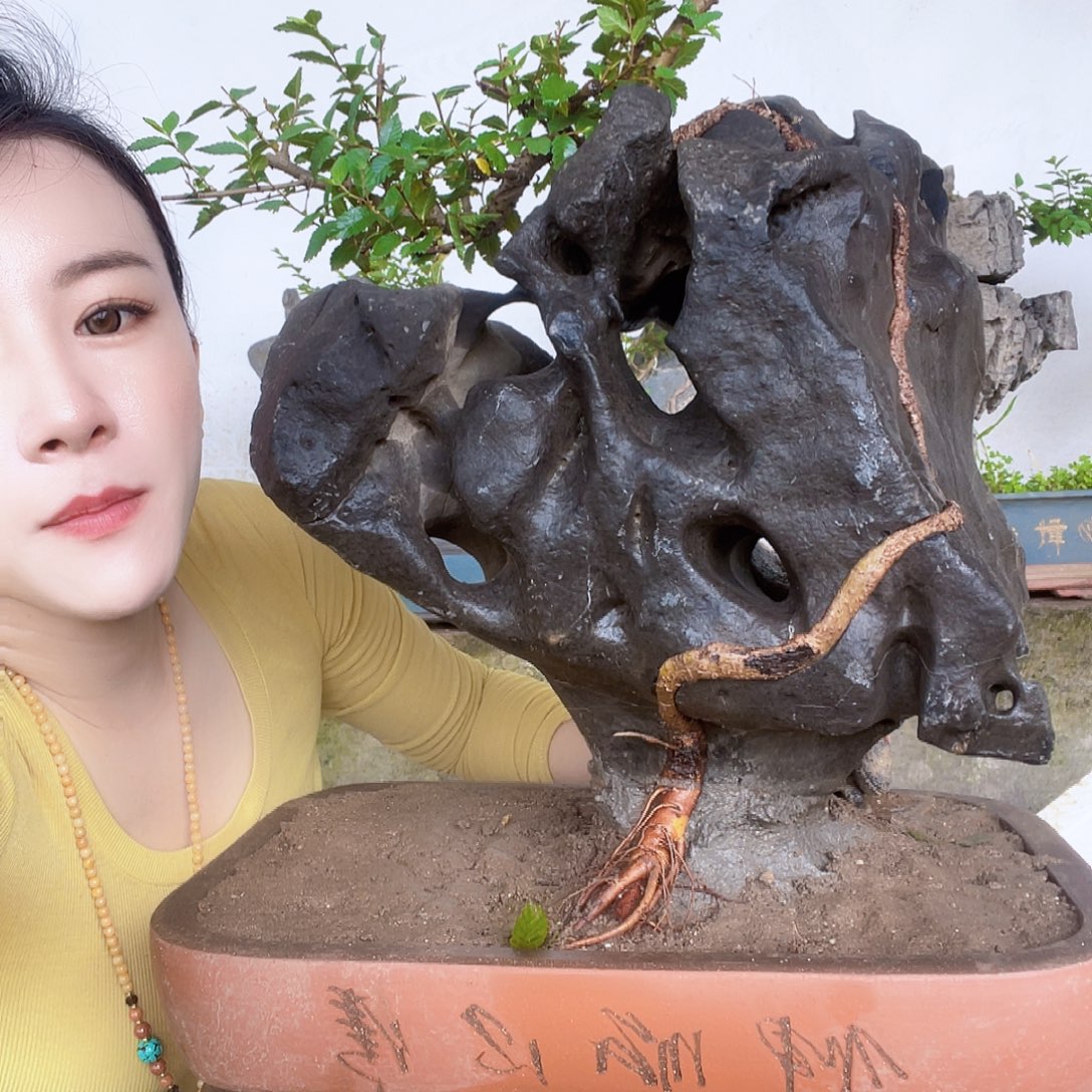 钦***w突突突突我小心翼翼