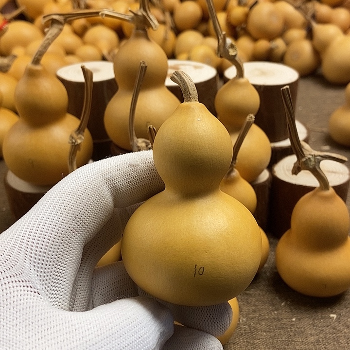 文玩葫芦 完美主义者 慎拍10