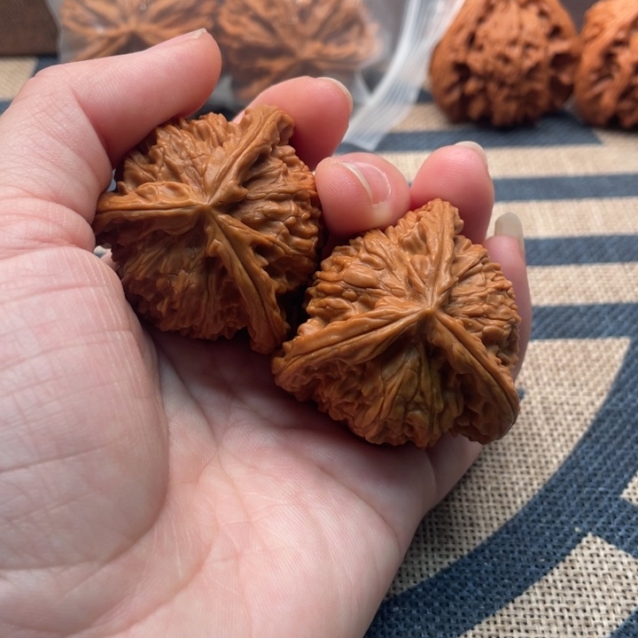 畱***尨核桃白狮子40核桃