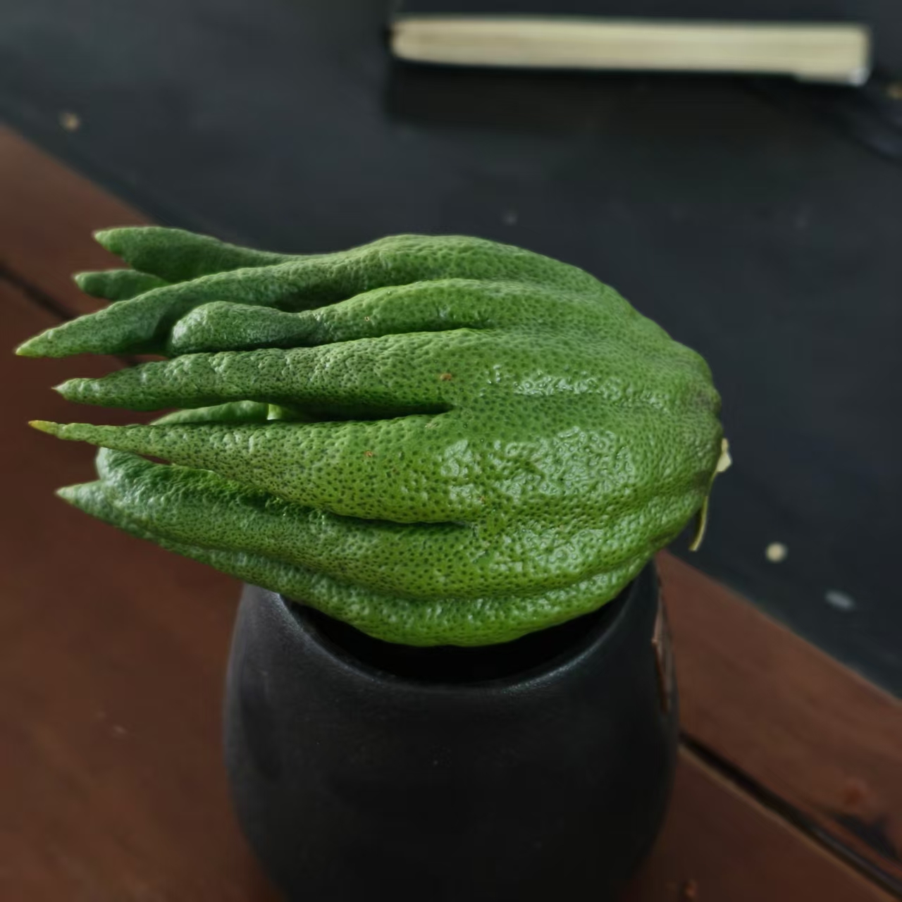 云南新鲜高山佛手1个装