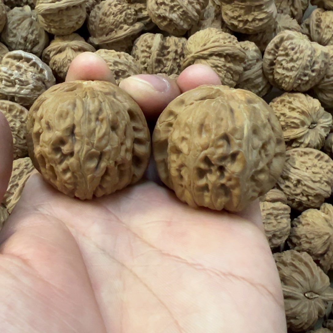 44尺平谷元宝有修尖