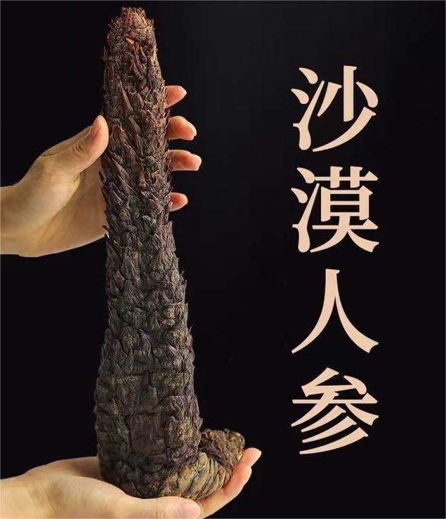 阿拉善荒漠泡水泡酒料【直播间改价】