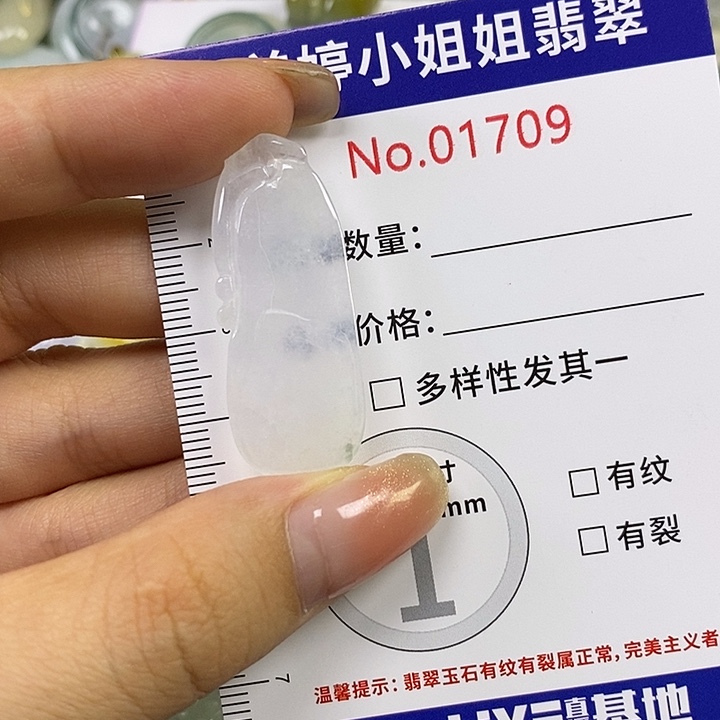 双***翡翠未镶嵌颈饰翡翠