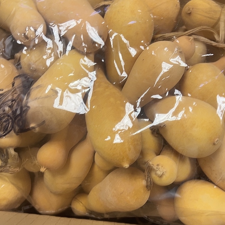 墨鱼邮政邮政邮政邮政邮政邮政