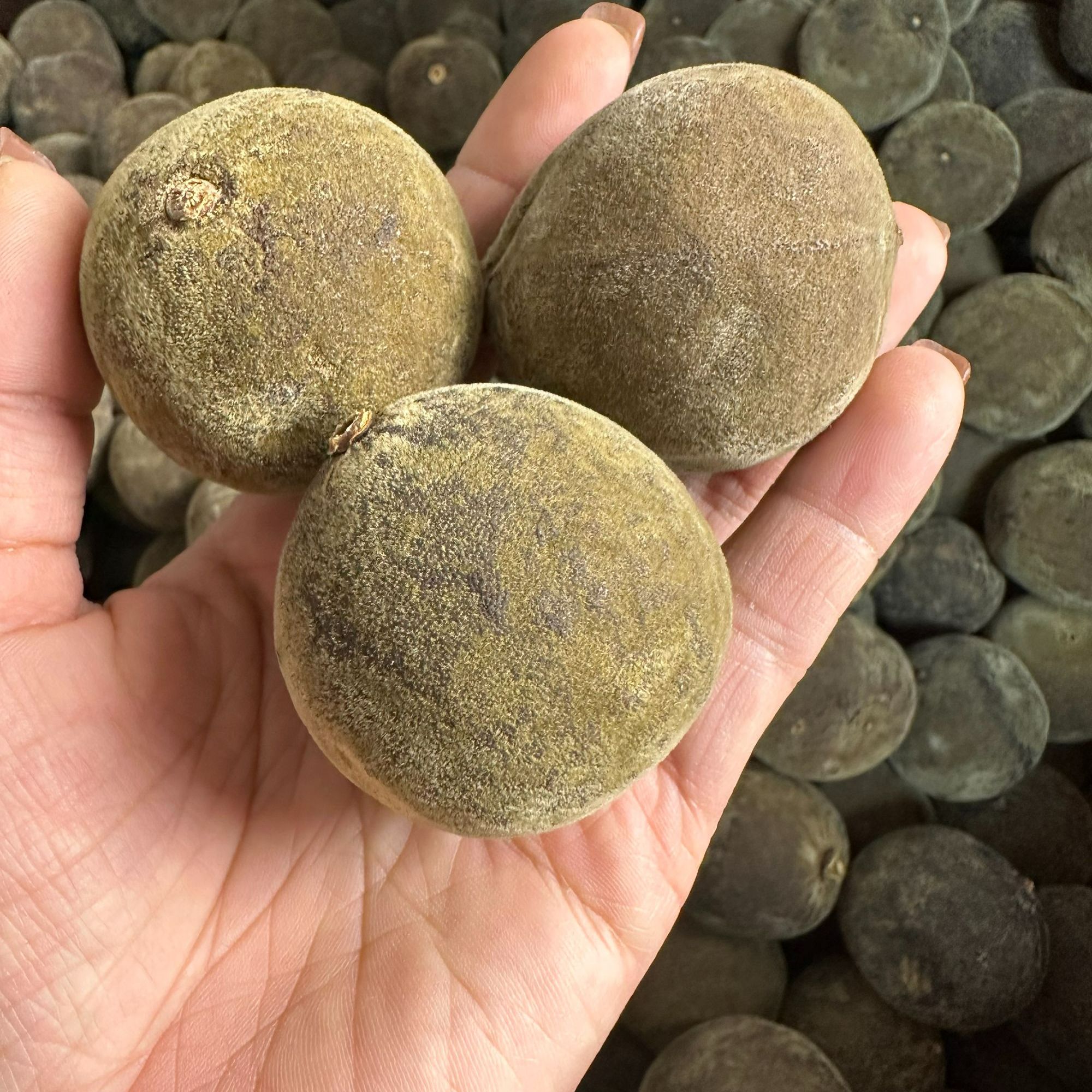 正宗化州橘红精选散装化橘红圆果