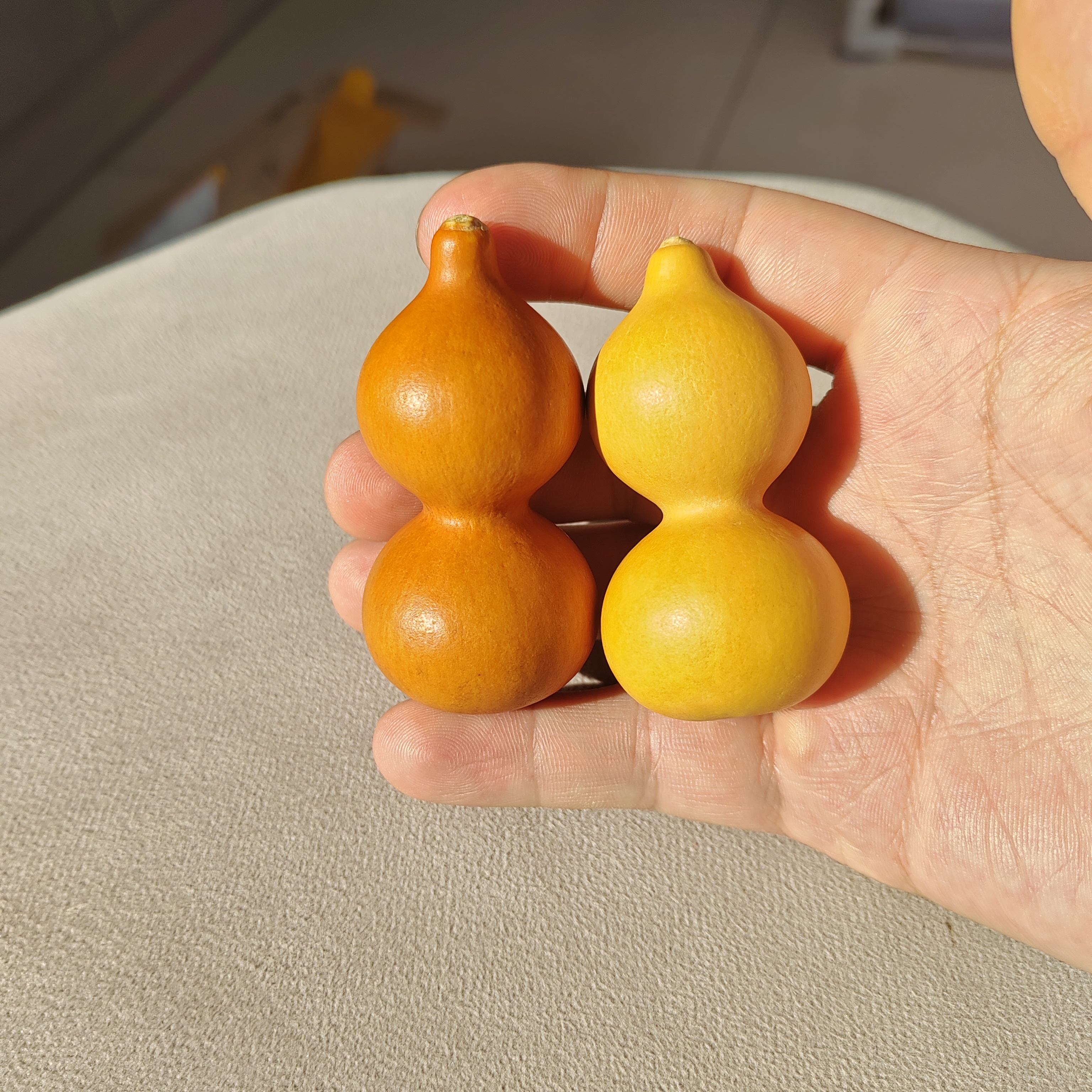 绕指葫芦7号链接