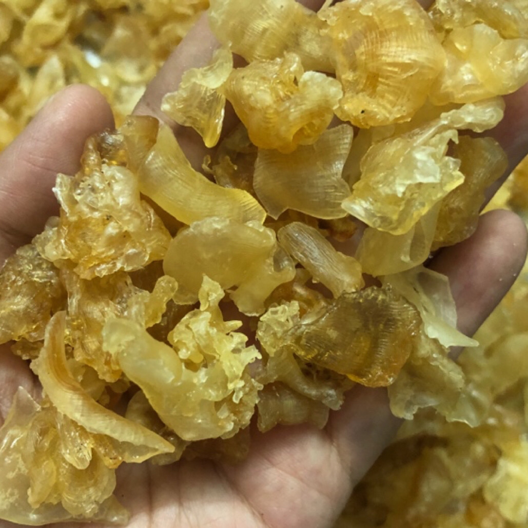 【福利款】碎胶 限量版凤尾胶珍珠胶黄花胶深海鱼胶鱼肚。煲汤炖奶冻