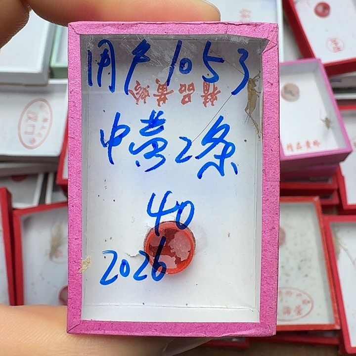 用***3蟋蟀2222222222222