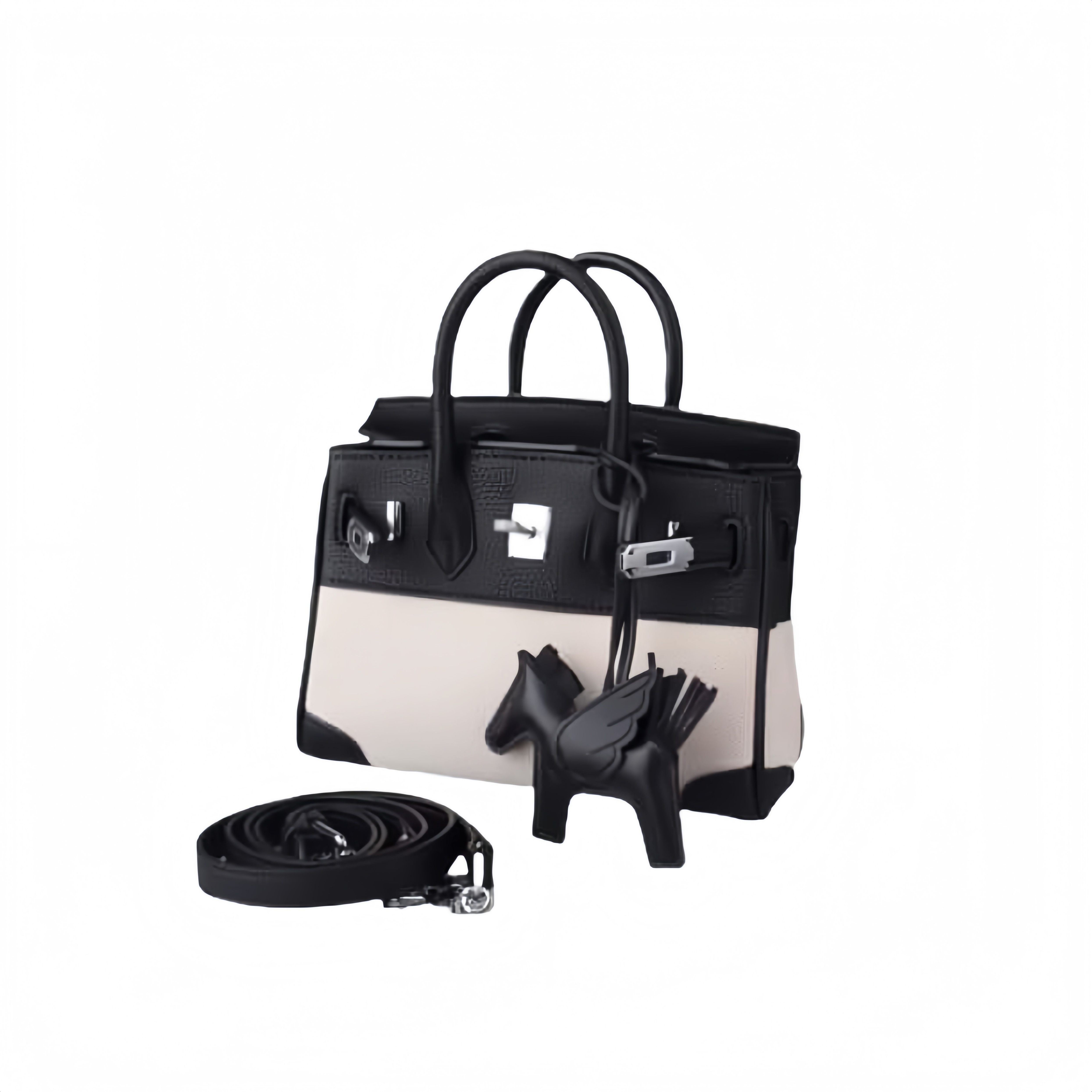 5555-1-经典时尚潮流百搭手提包包  21*10*15