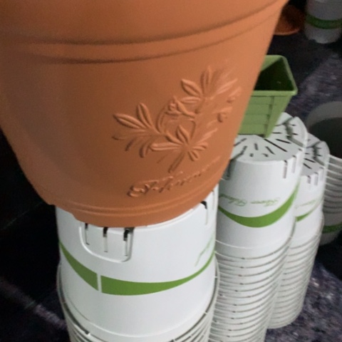 树脂知**安2个大号红色无托