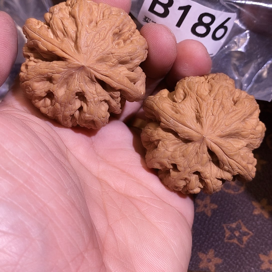 大***熊把件文玩核桃粗筋。       