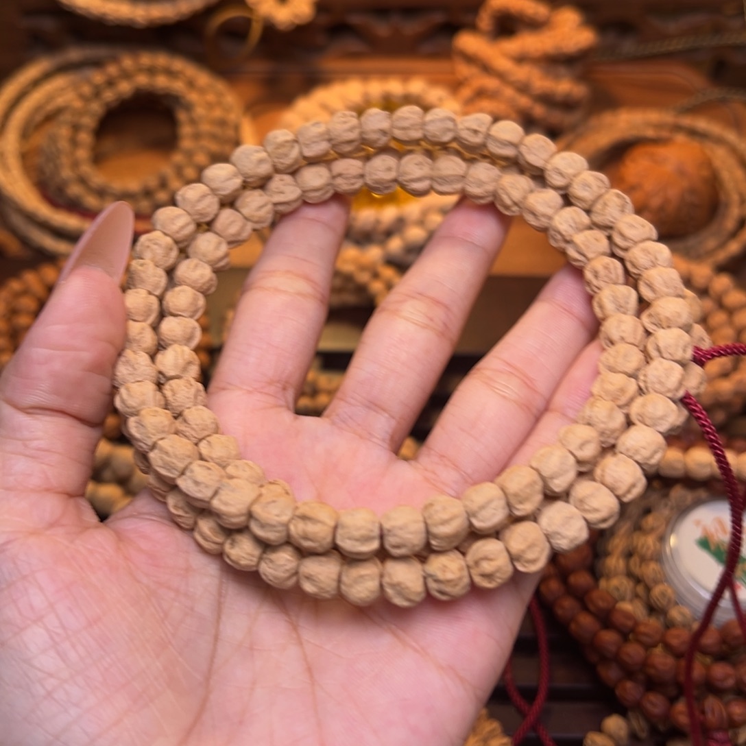 男***人木质类直切龙脊长串