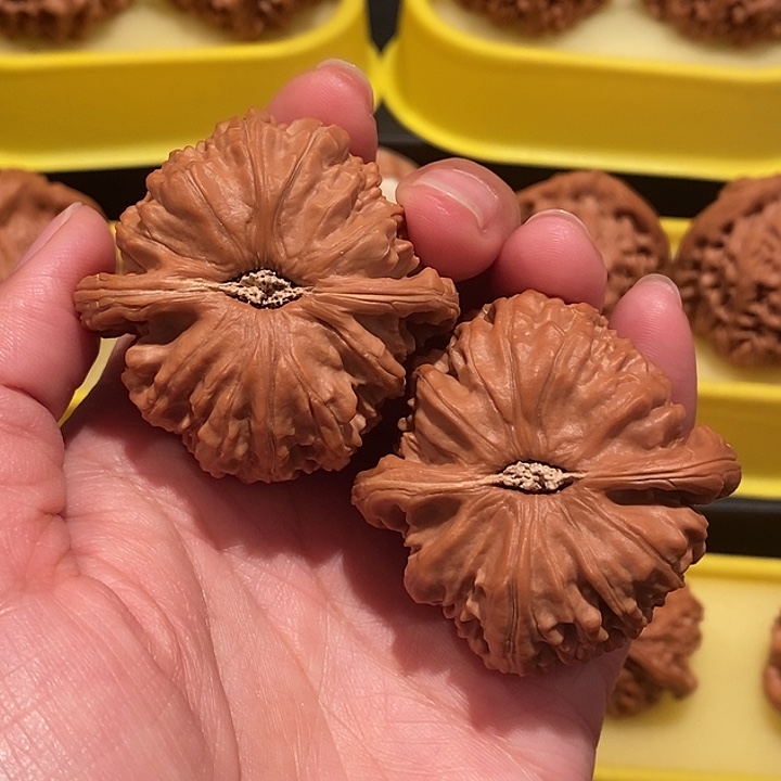 她****?文玩核桃46尺白狮子