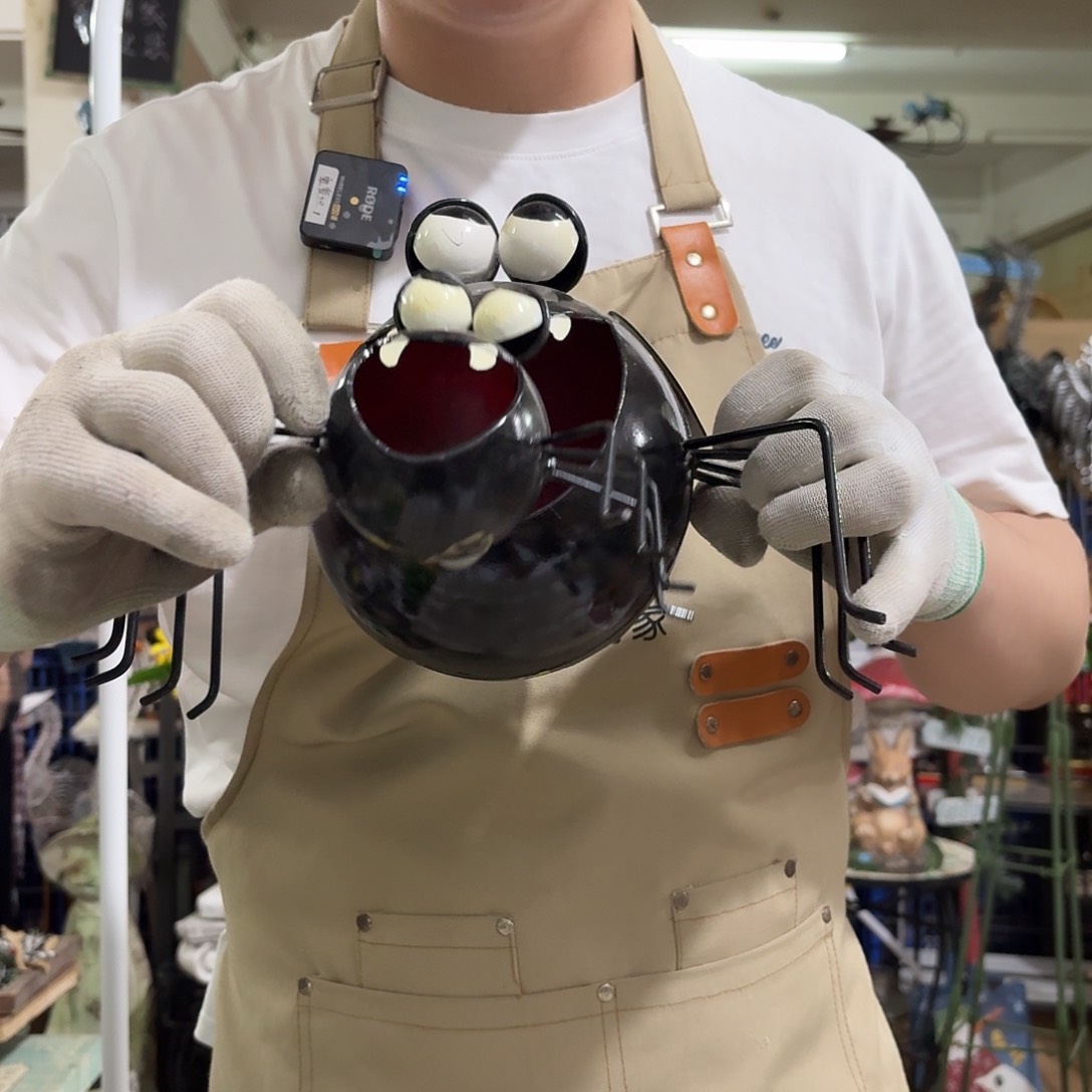 核桃木/黑胡桃（胡桃木）