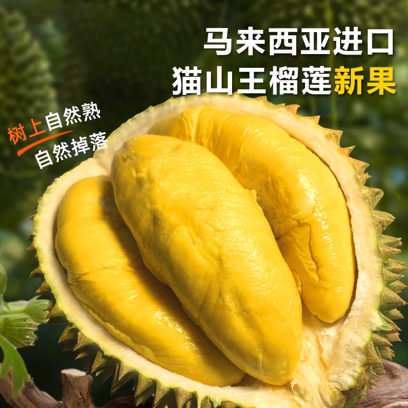 马来西亚进口精选猫山王榴莲整果液氮冷冻锁鲜自然熟落软糯香甜