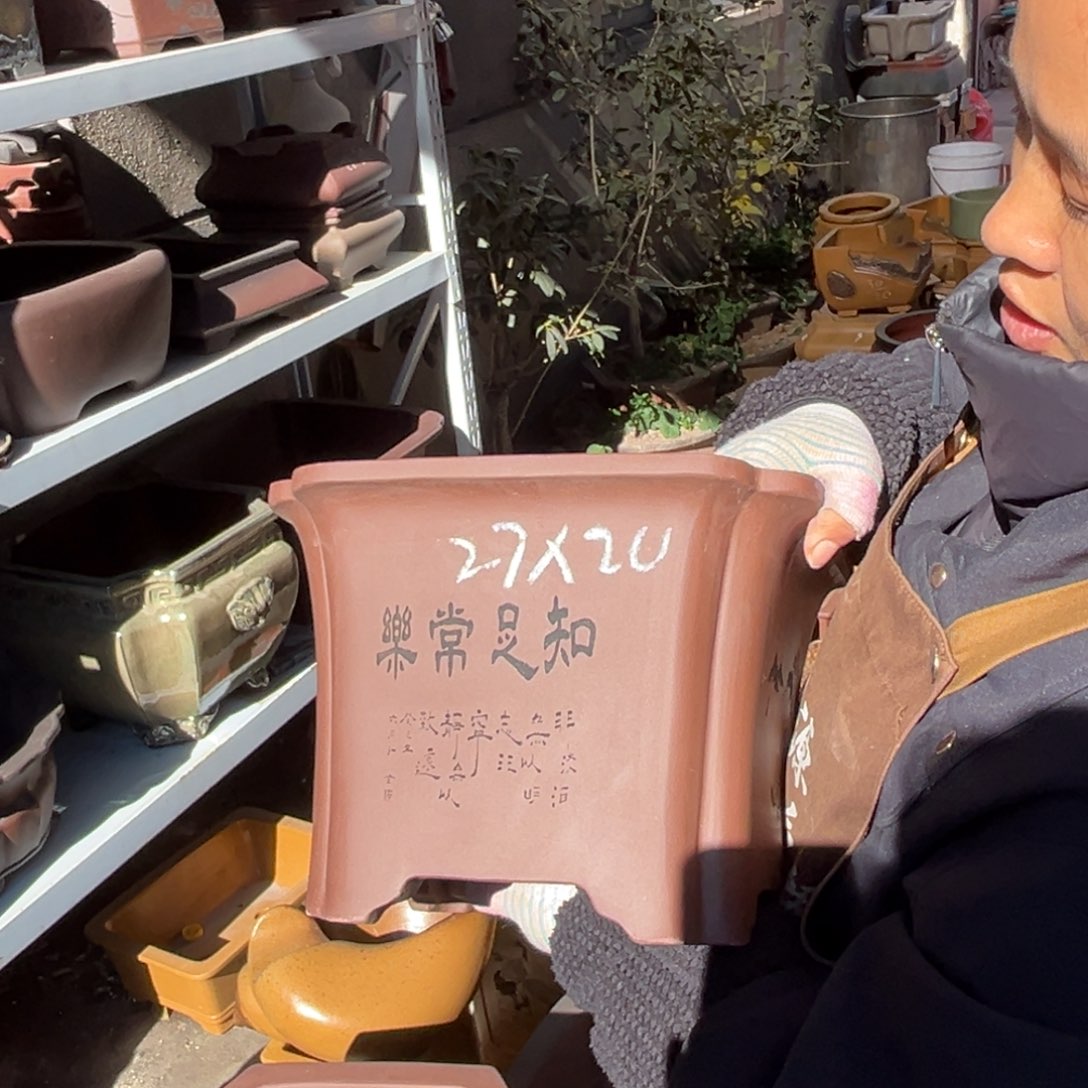 紫砂花盆盆景艺术
