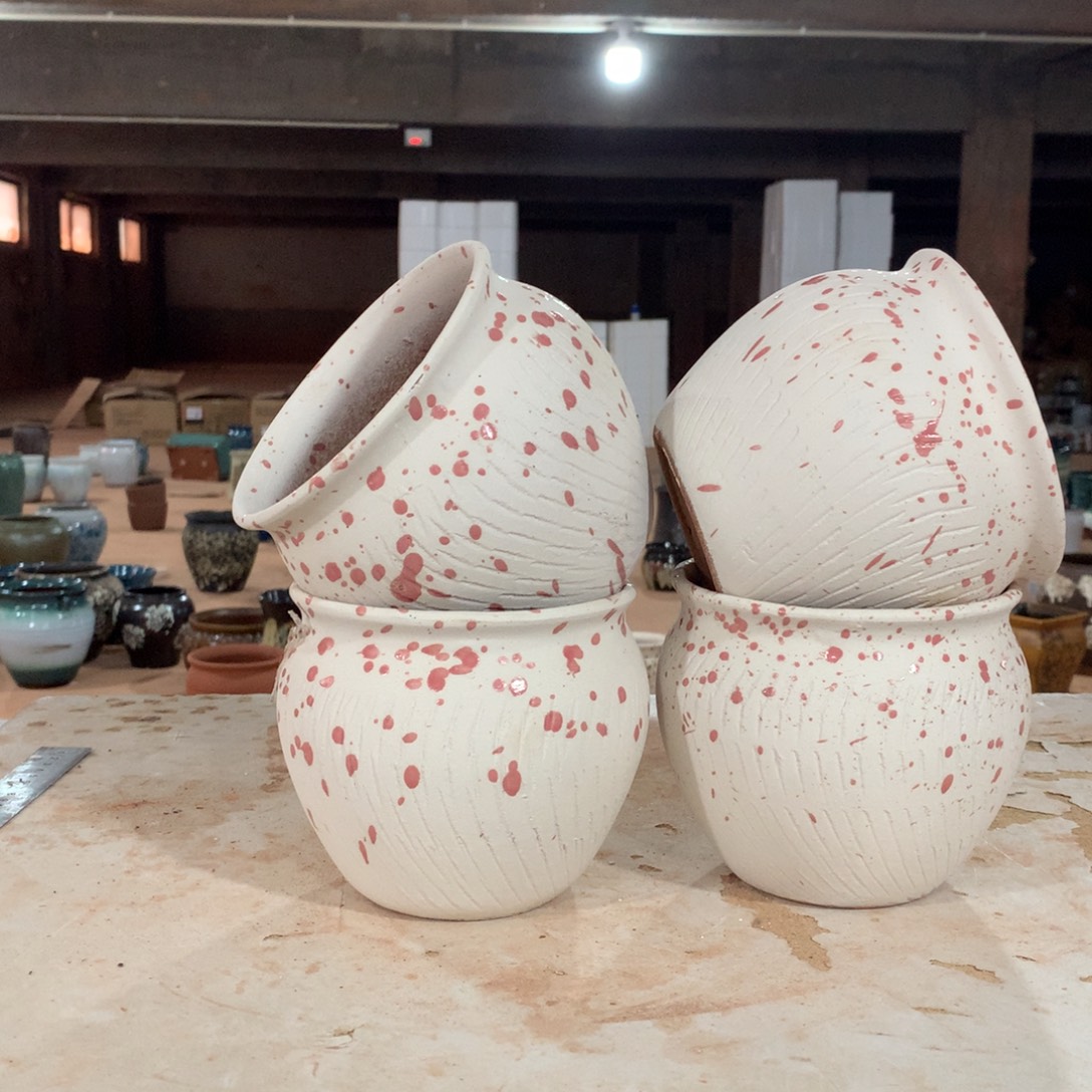 花盆啦啦啦啦啦啦啦啦啦