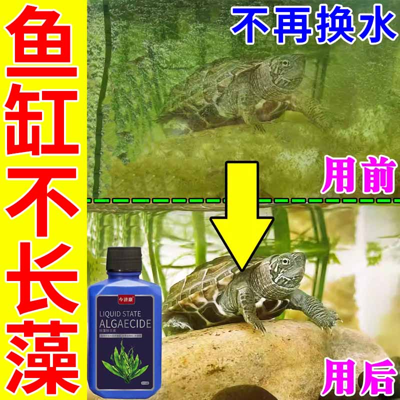 鱼缸不长藻去绿苔池塘净水神器清除绿水藻青苔褐藻黑毛藻裸甲藻用