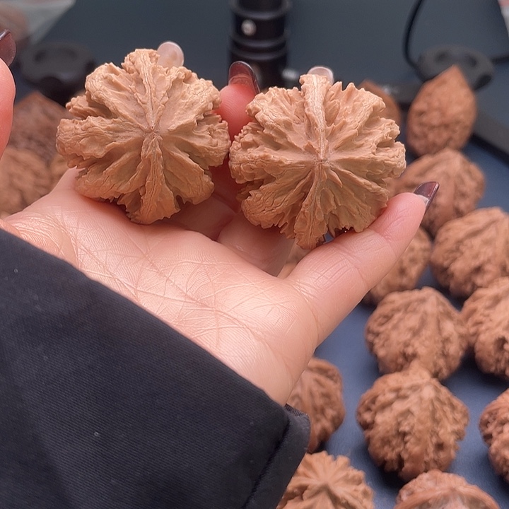 那***阳把件龙脊菩提秦岭核桃