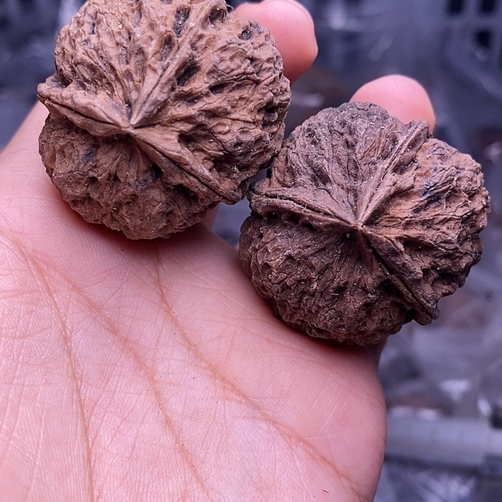 文玩核桃把件   62