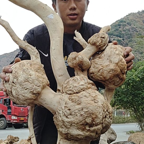 豹***9去年运城市公共工程