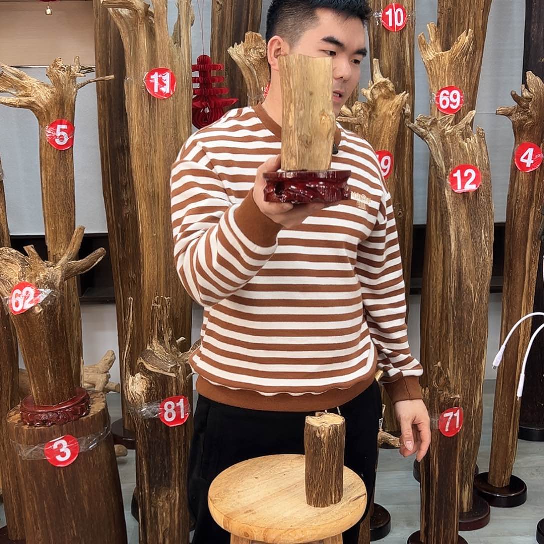 沉香摆件海南沉香摆件