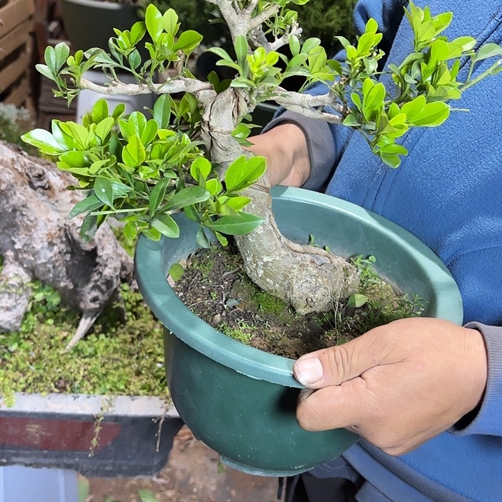 用***2无花朵哈哈哈哈哈