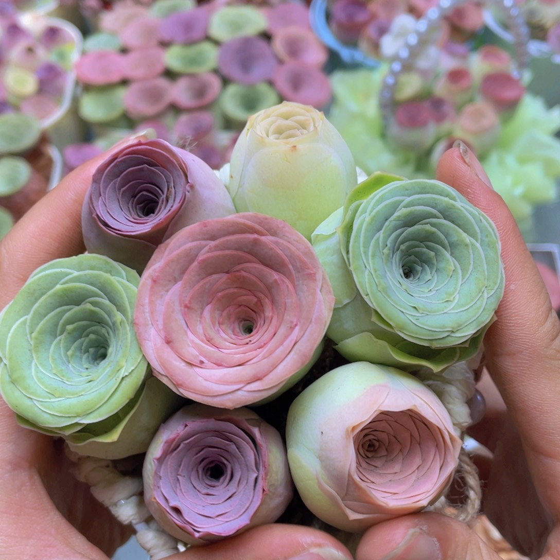 山地玫瑰花篮组合J439